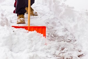 Snow Removal & Loader Service in Carteret, New Jersey